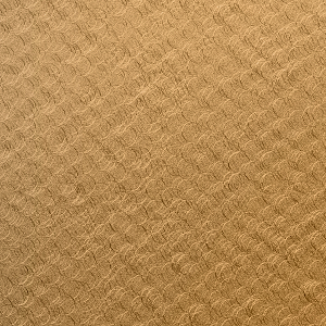 Light Bronze